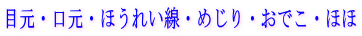 目元・口元・ほうれい線・めじり・おでこ・ほほ